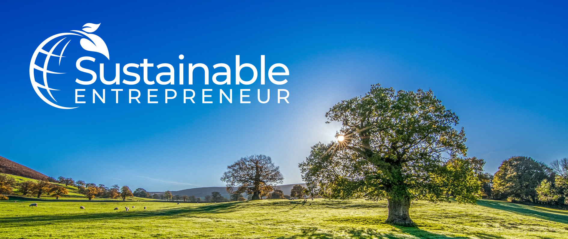 Header Sustainable Entrepreneur Logo links