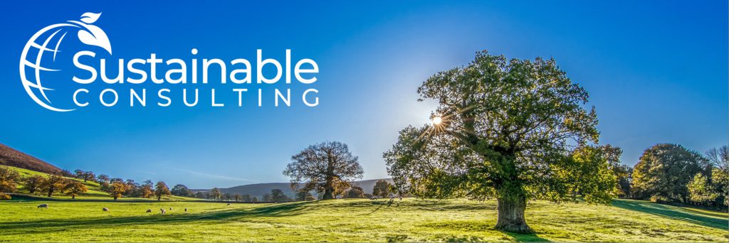 Header Sustainable Consulting