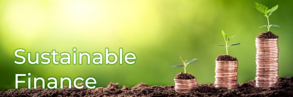 Header Sustainable Entrepreneur Sustainable Finance
