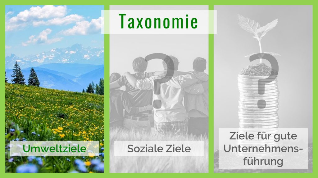 Bild Sustainable Entrepreneur Taxonomie