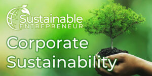 Beitragsbild_SE_Corporate_Sustainability