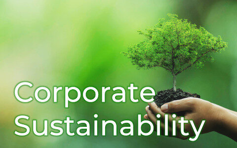 Kachel_Sustainable_Entrepreneur_Corporate_Sustainability