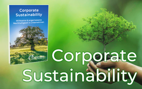 Kachel_Sustainable_Entrepreneur_Corporate_Sustainability_Buch
