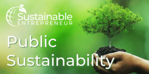 Beitragsbild2_Sustainable_Entrepreneur_Public_Sustainability