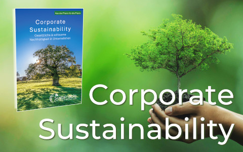 Kachel_Sustainable_Entrepreneur_Buch_Corporate_Sustainability_V2